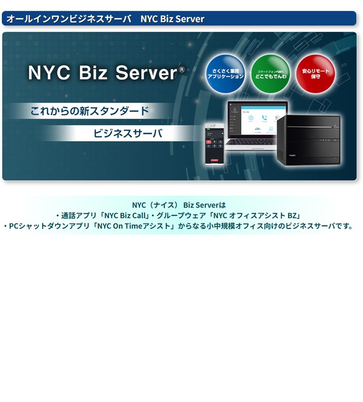 こらからの新スタンダードビジネスサーバー　オールインワンビジネスサーバー